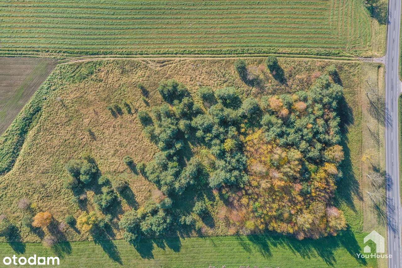 Działka w Stanowie (usługi nieuciążliwe) - Pełny obrazek: 4/16