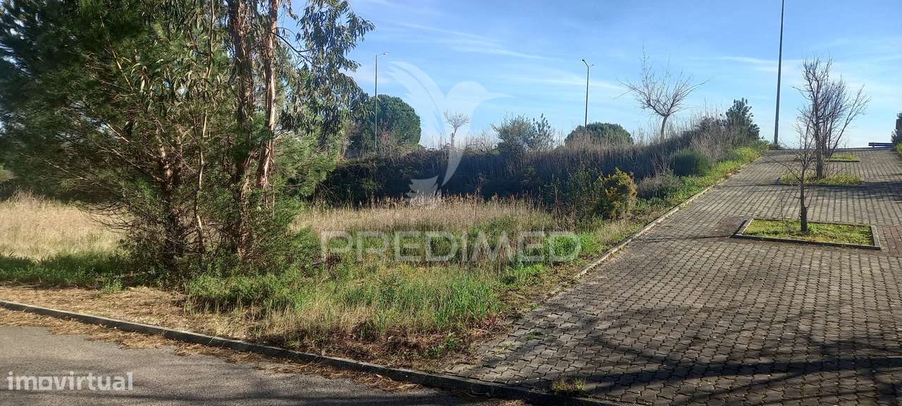 Lote de Moradia - Grande imagem: 5/6