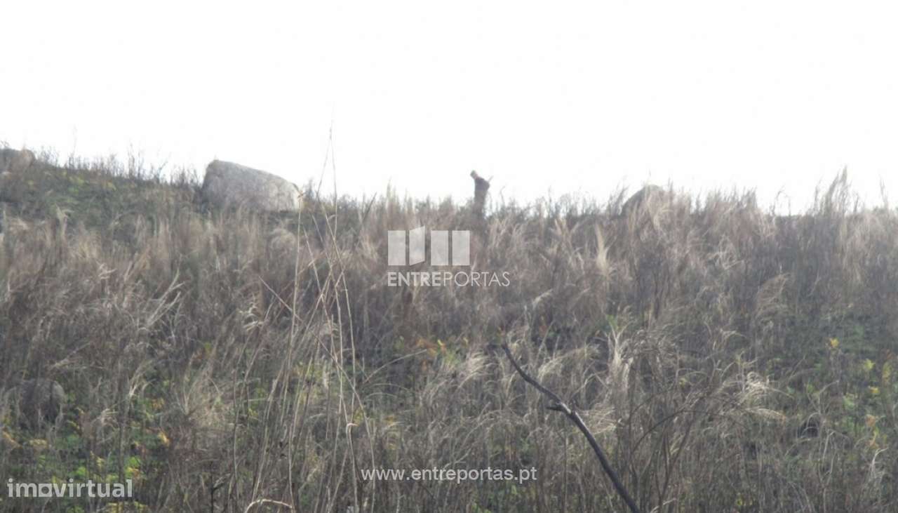 Venda Terreno, São Simão, Amarante - Grande imagem: 4/13