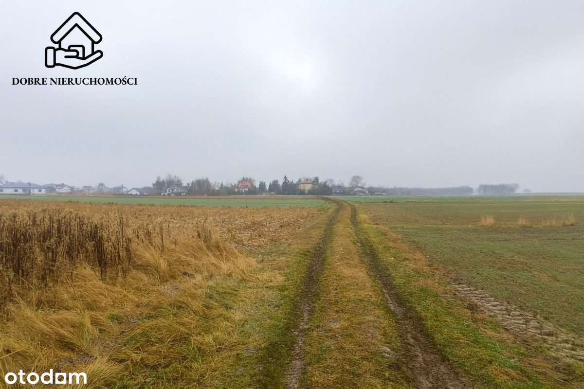 Działka rolna 6900 m2 - Trawniki - 40 000 zł-3