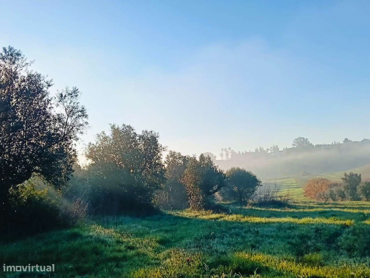 Terreno situado no centro da vila de Acanhões - Grande imagem: 5/6