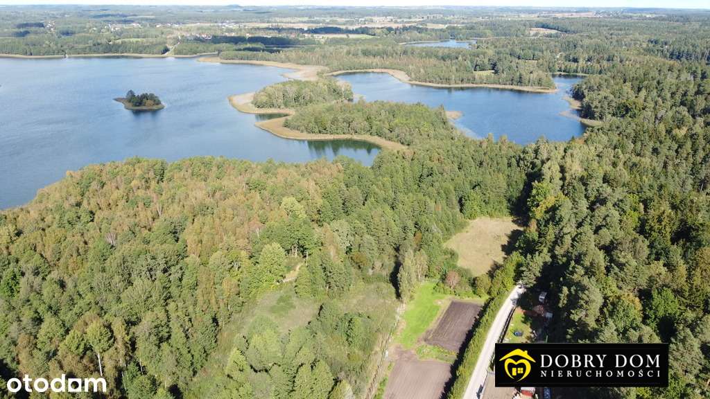 Linia brzegowa jeziora/2ha/Suwalszczyzna/Okazja! - Pełny obrazek: 4/16