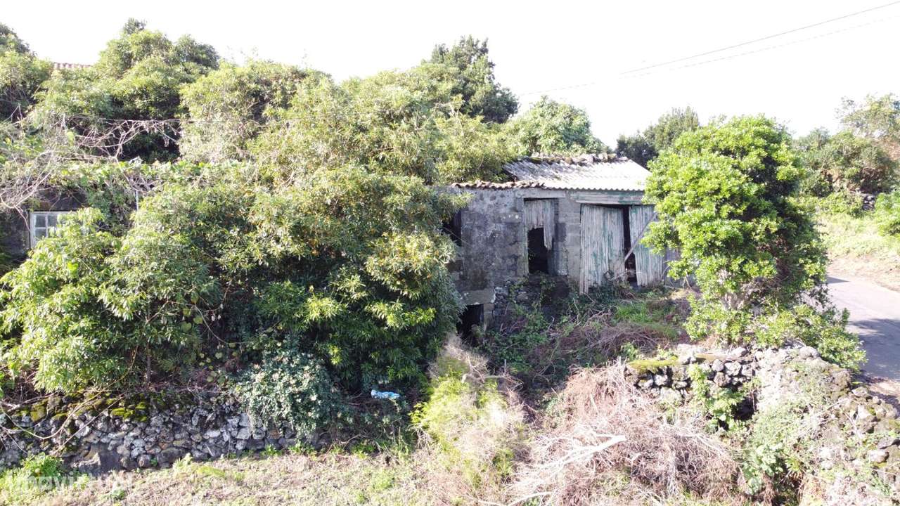 Quintinha - Caminho Ponta da ilha - Engrade- Ilha do Pico - Grande imagem: 5/49