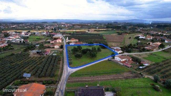 Terreno rústico, para venda, Anadia - Amoreira da Gândara, Paredes ... - Grande imagem: 5/12