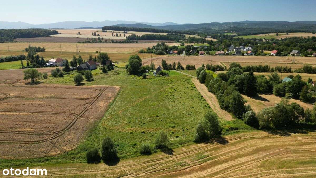 Pogórze Izerskie - Działka Siedliskowa+Rola-2