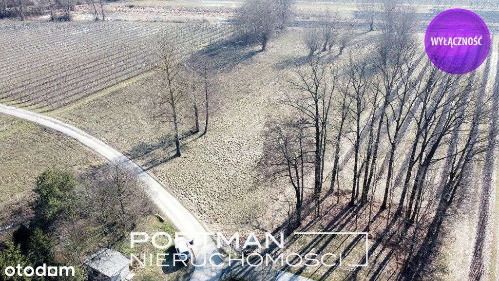 Piękna działka w Wildze, okolicy cichej i zielonej-3