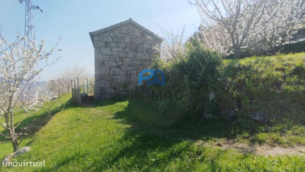 Quinta do Valado- Excelente Investimento em Resende-22