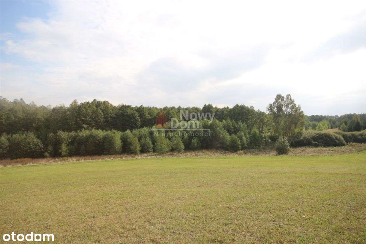 Działki Z Linią Brzegową I Warunkami Zabudowy! - Pełny obrazek: 5/10