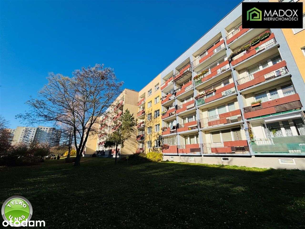 Zadbane M-4 na Północy, 1p w bloku - Pełny obrazek: 1/17