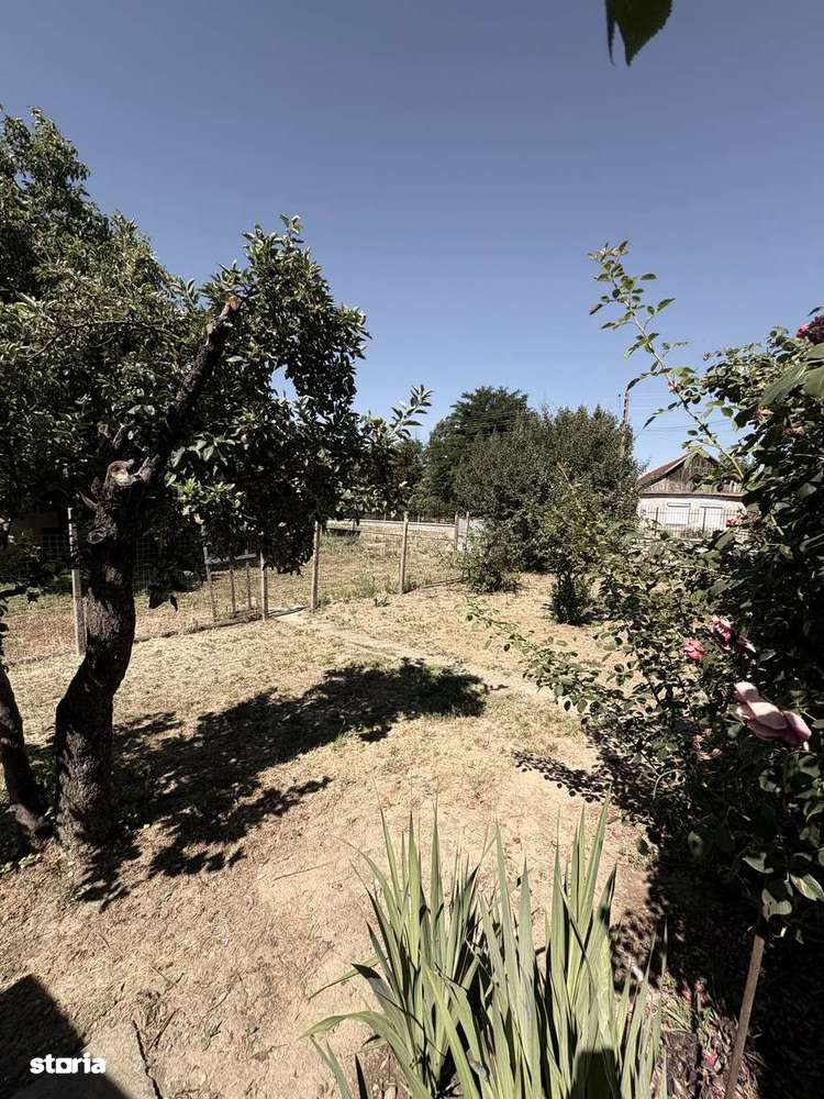 Casa Locuibila cu 2751 mp. Teren în Cadea. Sacueni - Imagine principală: 5/14