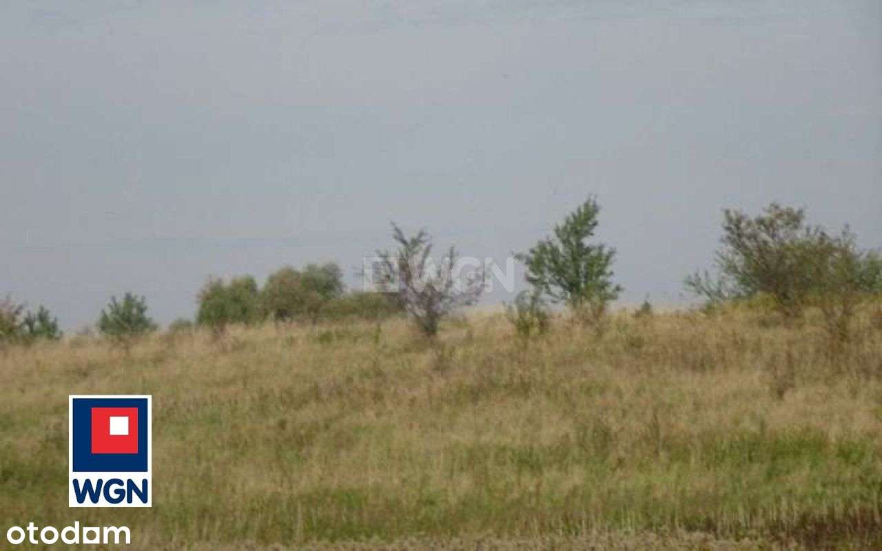 Działka Z Linią Brzegową Jeziora-3