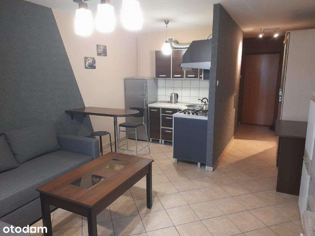 Mieszkanie 1-pokojowe z balkonem w Katowicach