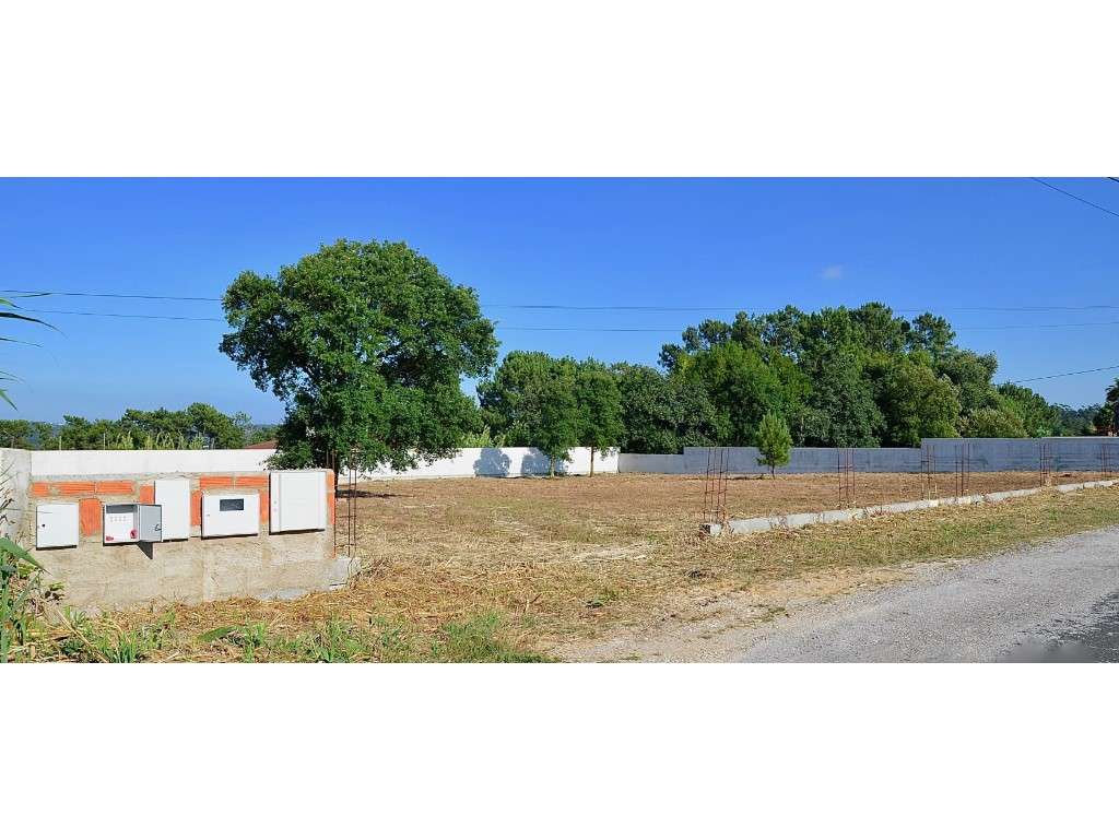 Terrenos para construção na zona de Monte Real - Grande imagem: 5/5