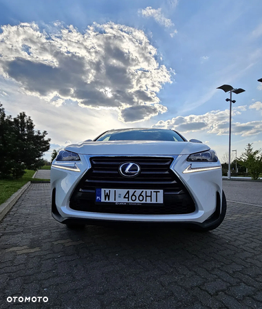 Lexus NX - 26