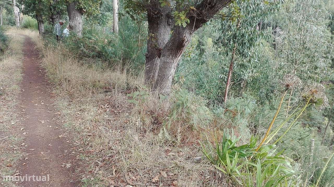 Terreno  para venda - Grande imagem: 4/16