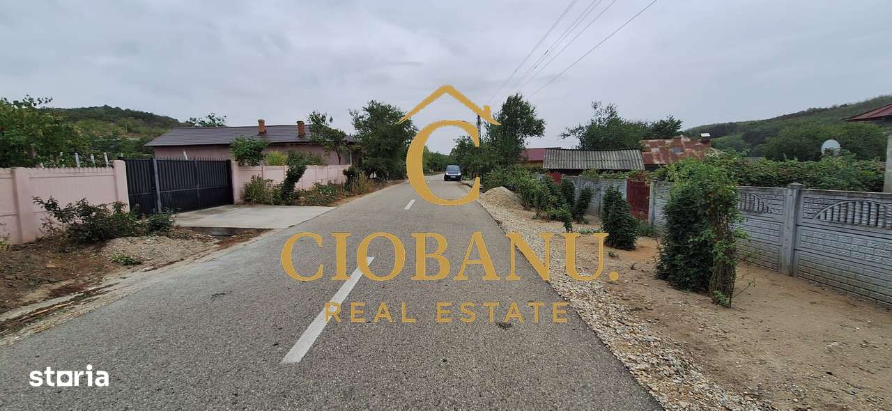 Teren Intravilan/Extravilan de vanzare in Bradestii Batrani-2