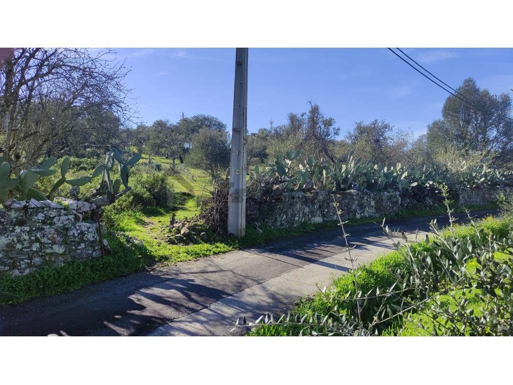 Terreno rústico de 0,65Ha localizado dentro da localidade da Dogueno - Grande imagem: 5/10