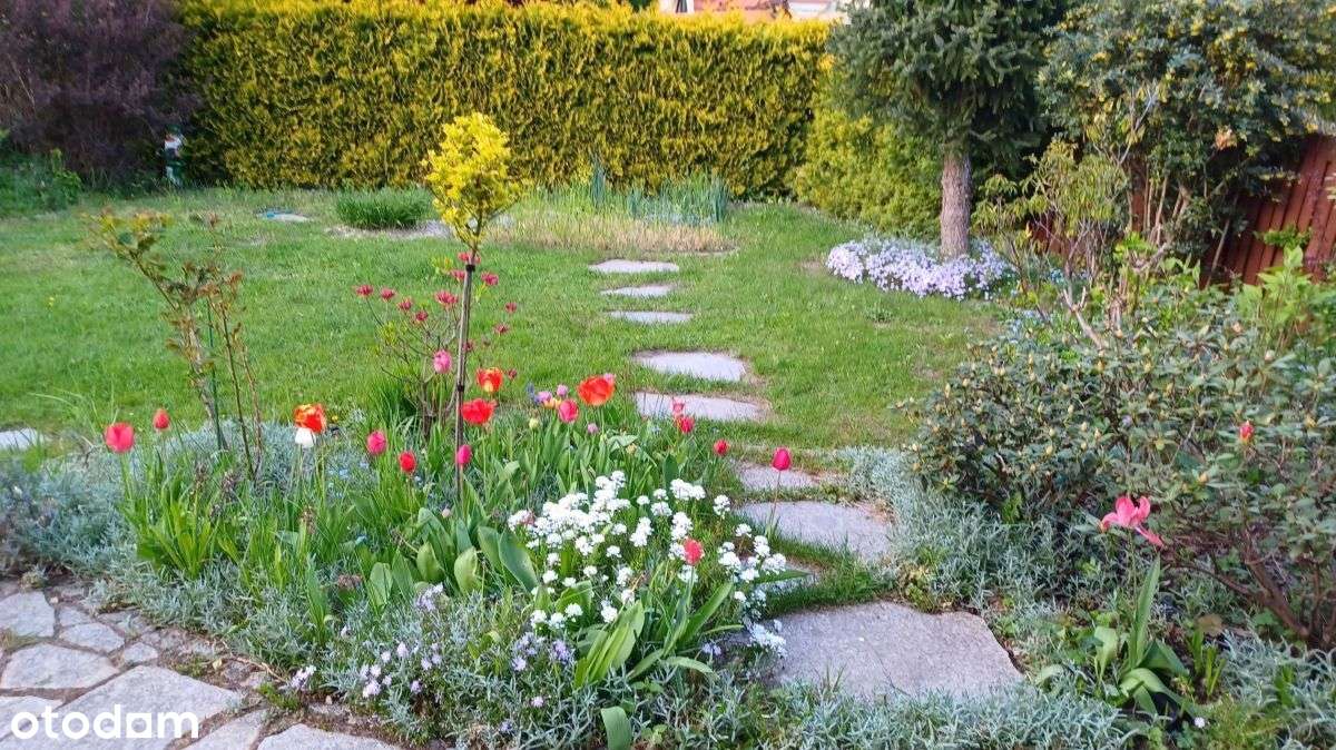 Dom - BliŹniak W Zielonej Górze-14