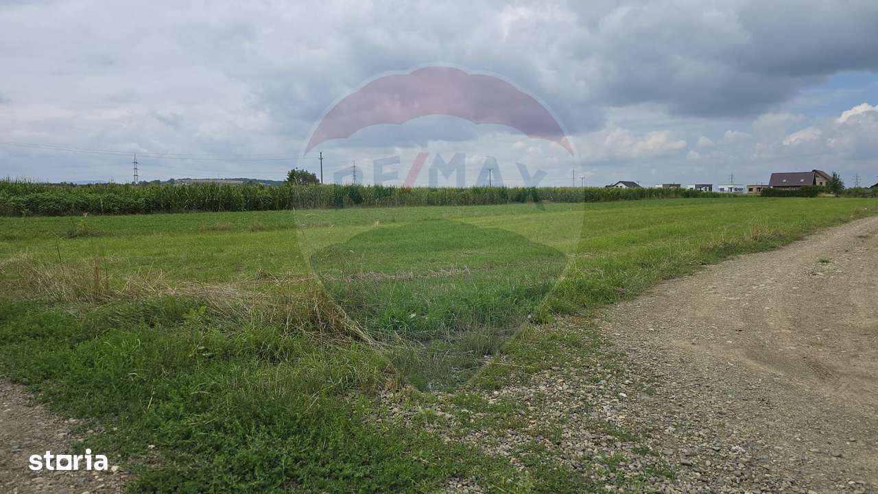 Teren 1,791mp Radauti / Strada Caramidariei - Imagine principală: 4/5