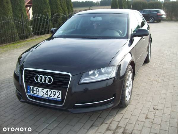 Audi A3 1.6 TDI DPF Ambition - 2