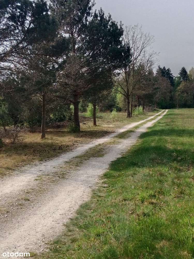 Sprzedam działkę budowlaną przy Lesie - Pełny obrazek: 4/7