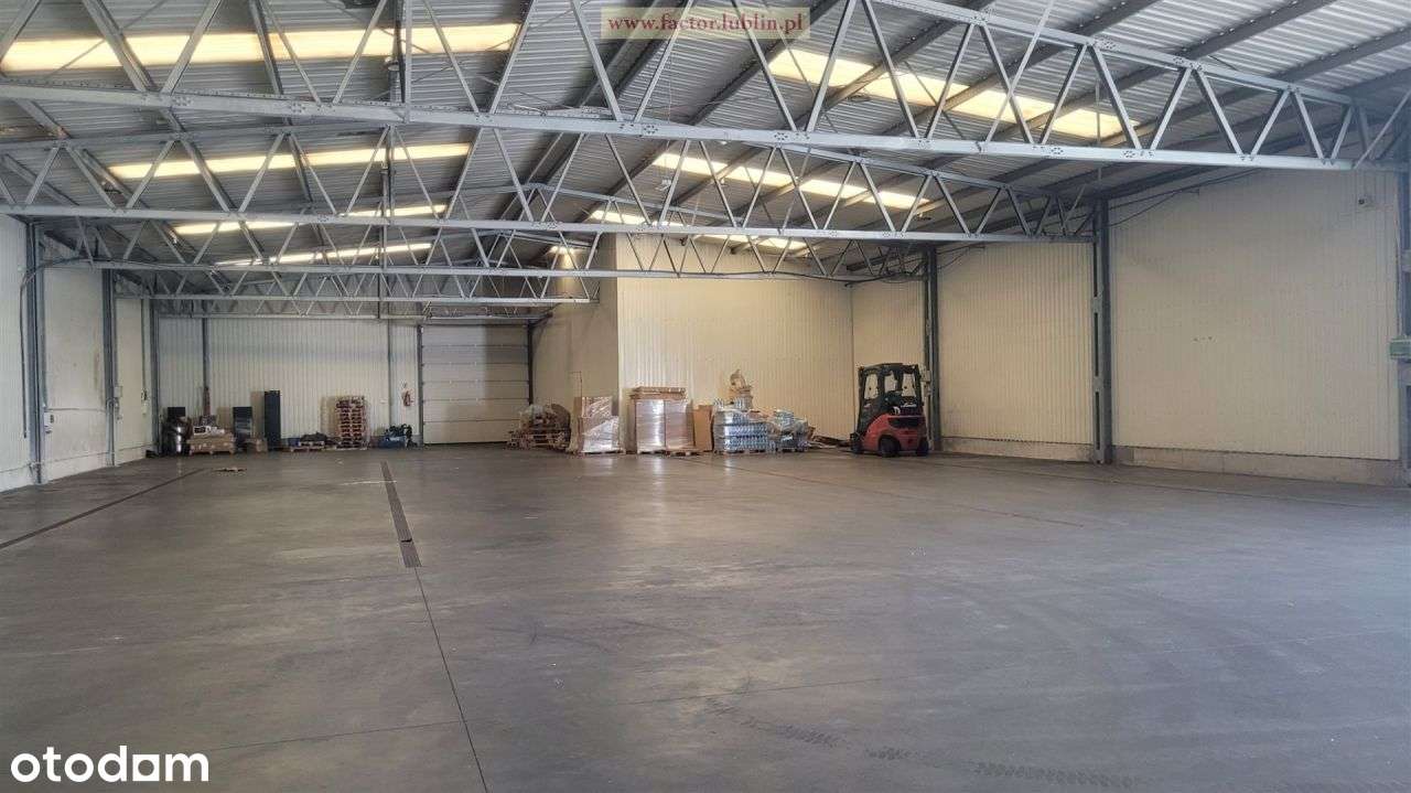 Hala 1000 mkw - Pełny obrazek: 3/3