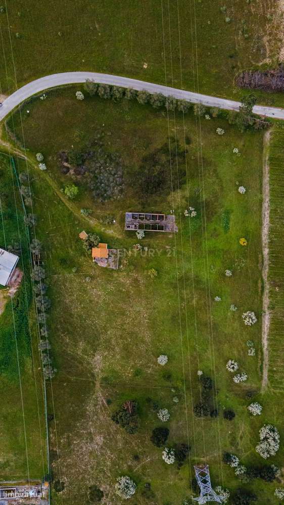 Terreno com Enquadramento Industrial no PDM | 9.700 m² Área Industrial-7