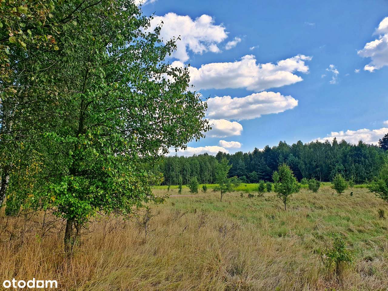 Twoje miejsce na rekreacyjny dom pod miastem-7