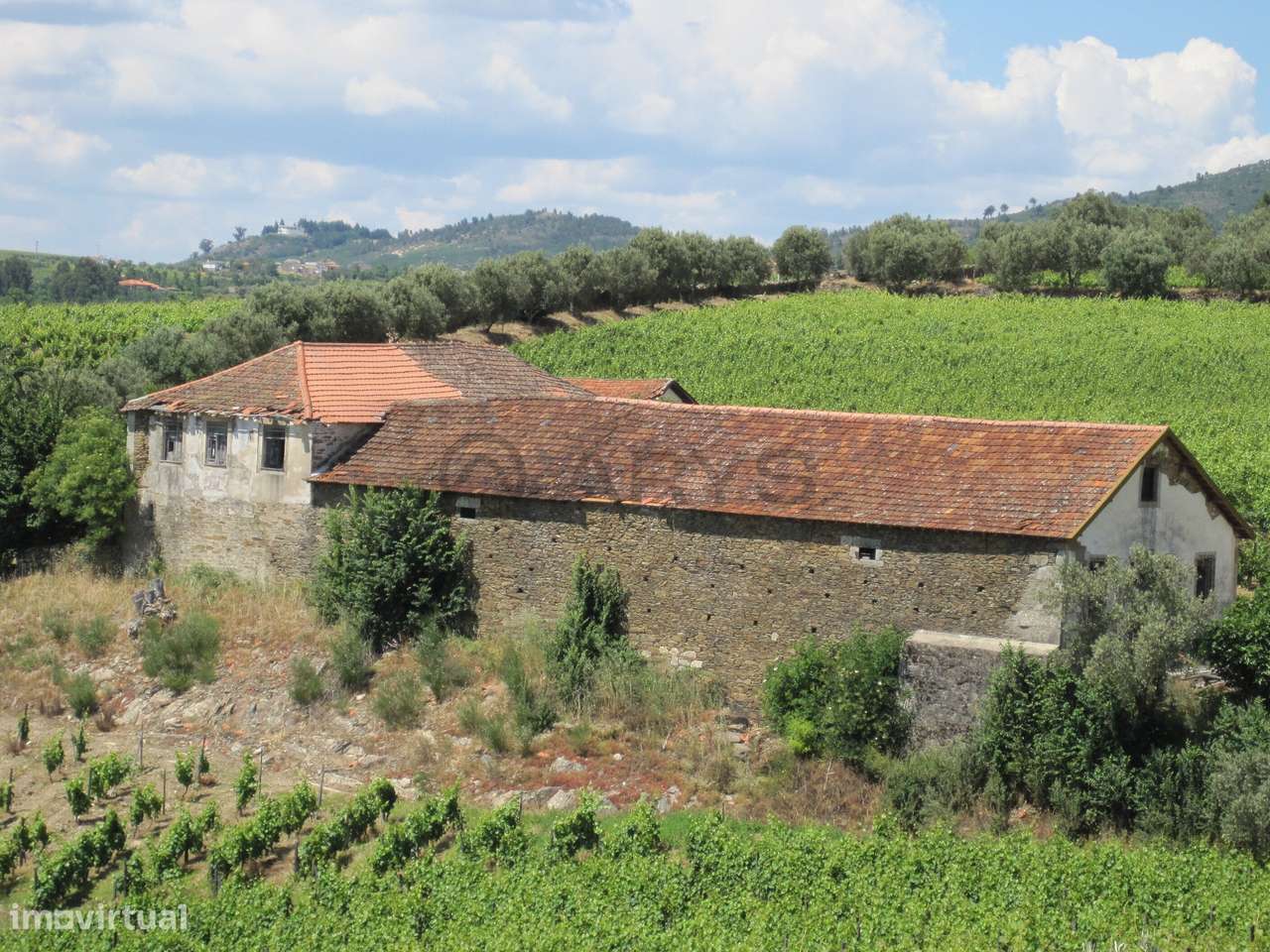 Quinta com vinha em Vila Real - Grande imagem: 4/16