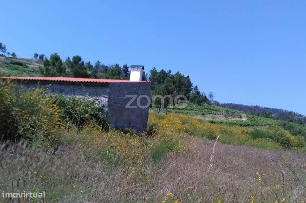 Terreno Rústico com 3.500 m² no Alto Douro Vinhateiro - Grande imagem: 4/4