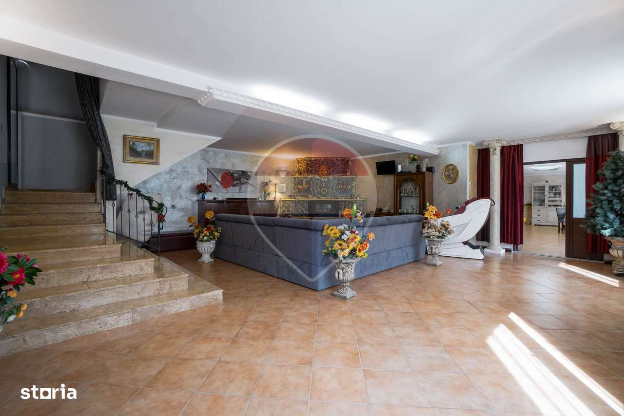 Proprietate de Poveste/ MANDRA/ DE VANZARE!- piscina exterioara!-10