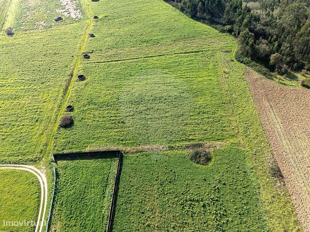 Terreno  para venda - Grande imagem: 5/12