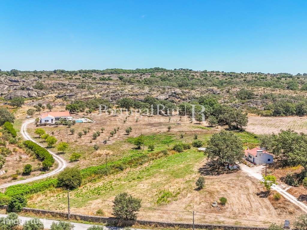 Quinta com 2 casas e piscina no P. N. da Serra de São Mamede - Grande imagem: 4/60