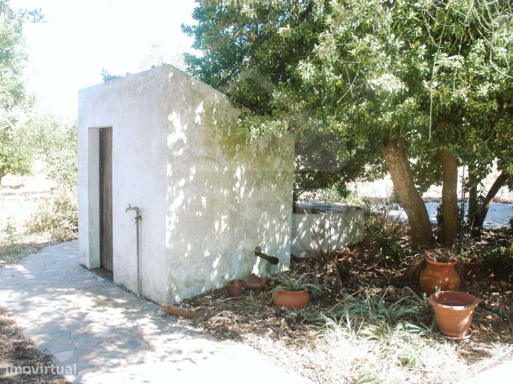 Quinta T4 nos Foros da Branca-35