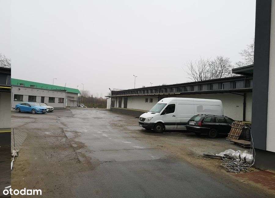 Różna Powie.19-107 Magazynowa w pobliżu DK22 i S3 - Pełny obrazek: 5/7