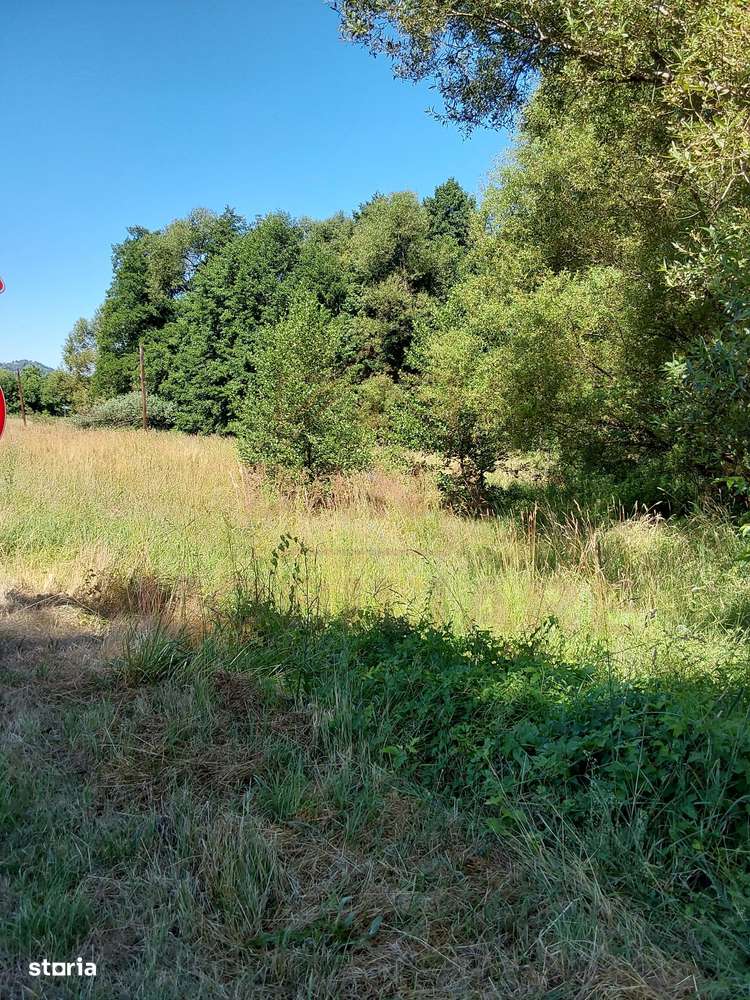 TEREN INTRAVILAN ÎN MARGA-LA DN68 JUD.CARAȘ-SEVERIN - Imagine principală: 4/9