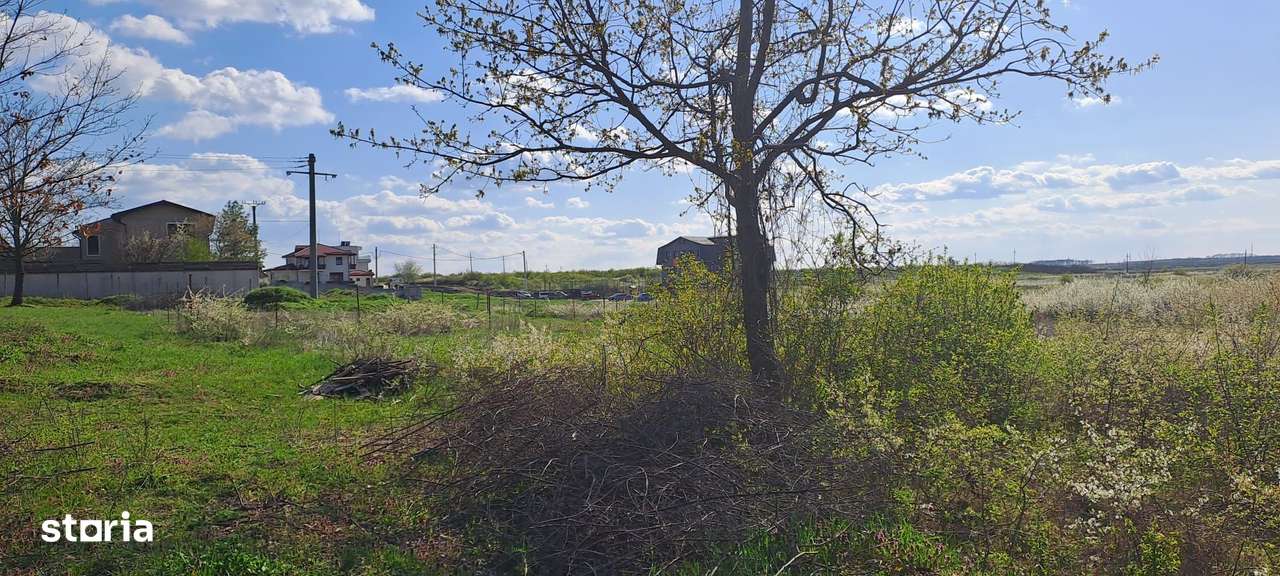 Mogosoaia, teren 792 mp, vedere la lac, utilitati, statie STB la 750m - Imagine principală: 3/5