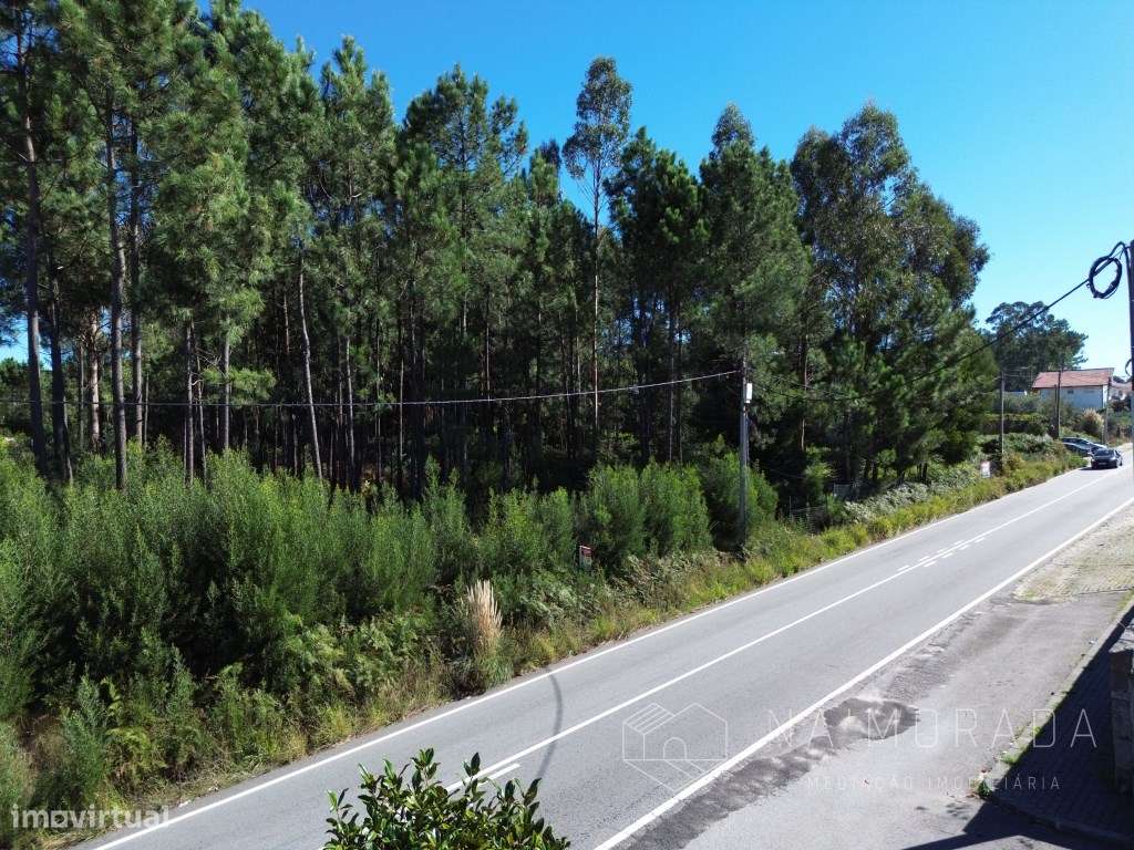 Terreno com cerca de 7700m2, bem localizado, no centro de Santa Mar...-16