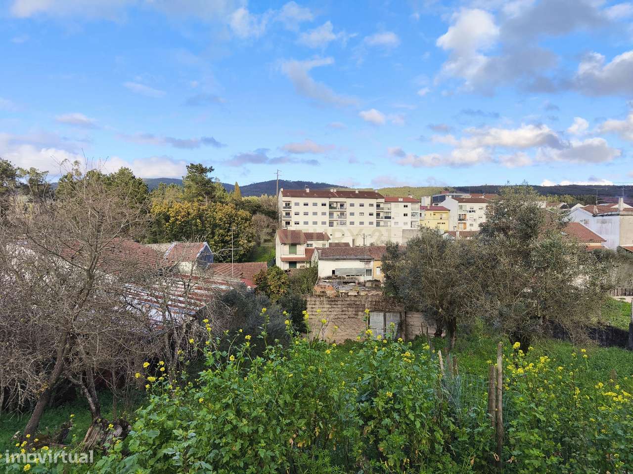 Moradia rústica em Avelar, Ansião.-20