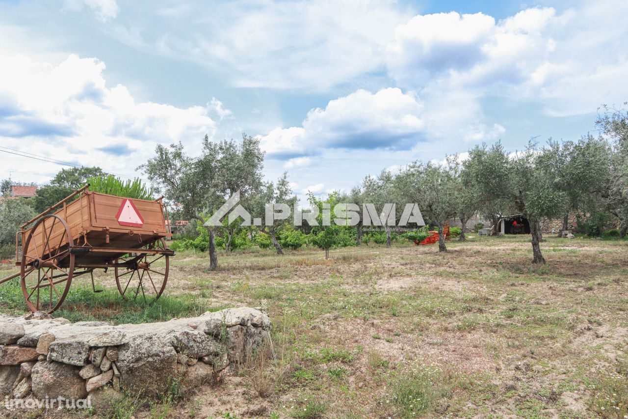 Quintinha com casa em pedra para venda em Cafede, Castelo Branco