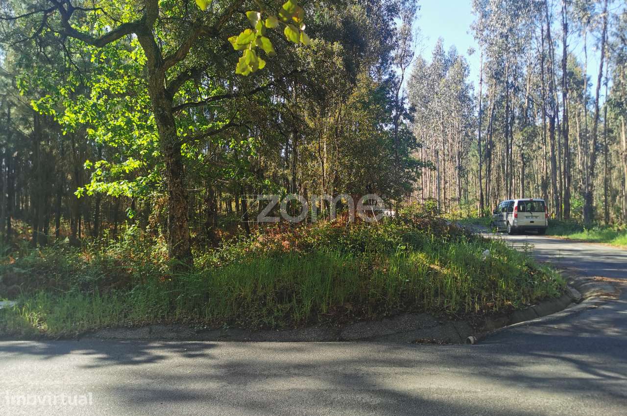 Terreno, com acesso betuminoso, gaveto, 2 frentes, Recardães, Águeda - Grande imagem: 1/15