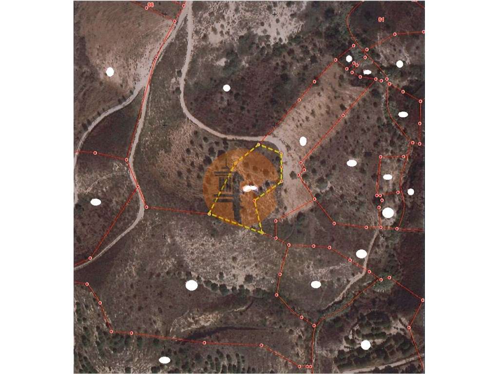 Terreno Rústico - 2640m2 - Rocha Velha - Azinhal - Castro Marim - Grande imagem: 2/7