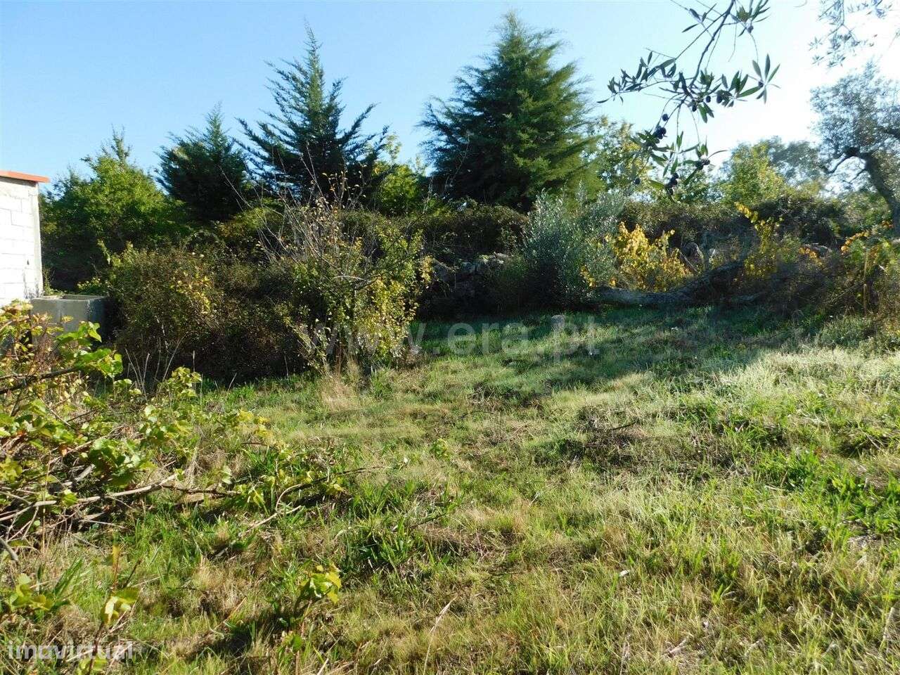 Terreno / Seia, Santa Marinha e São Martinho - Grande imagem: 4/15