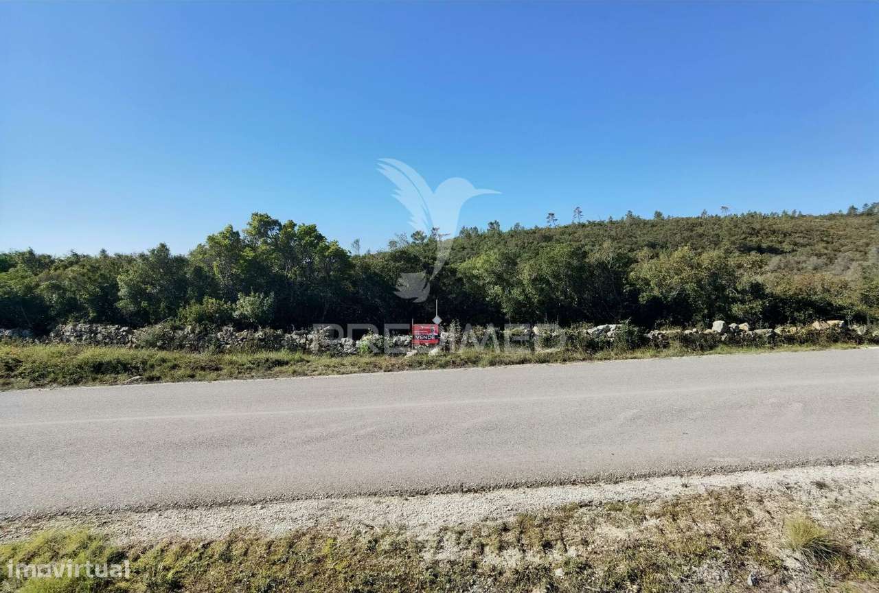 Terreno misto com uma área de 52.600.00m2 Vale da Trave / Santarém - Grande imagem: 3/30