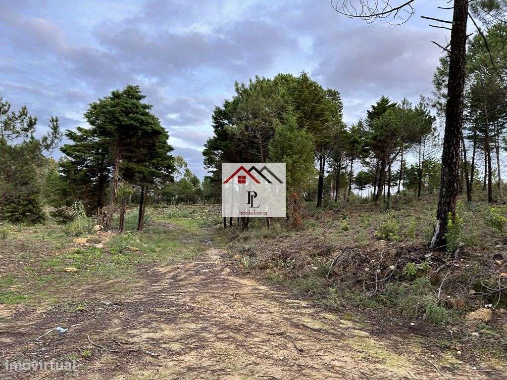 Terreno para loteamento  em Antanhol Coimbra (V811MA) - Grande imagem: 4/18