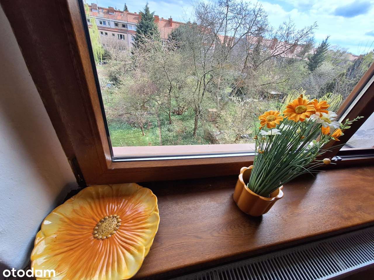 Negocjacja Ceny Klimatyczne Rozkładowe Plus Strych Plus Garderoba TOP-0