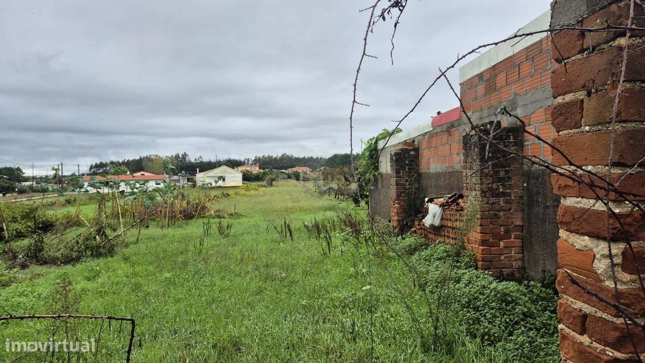 Casa Antiga em Carriço, Pombal - Oportunidade Única-14
