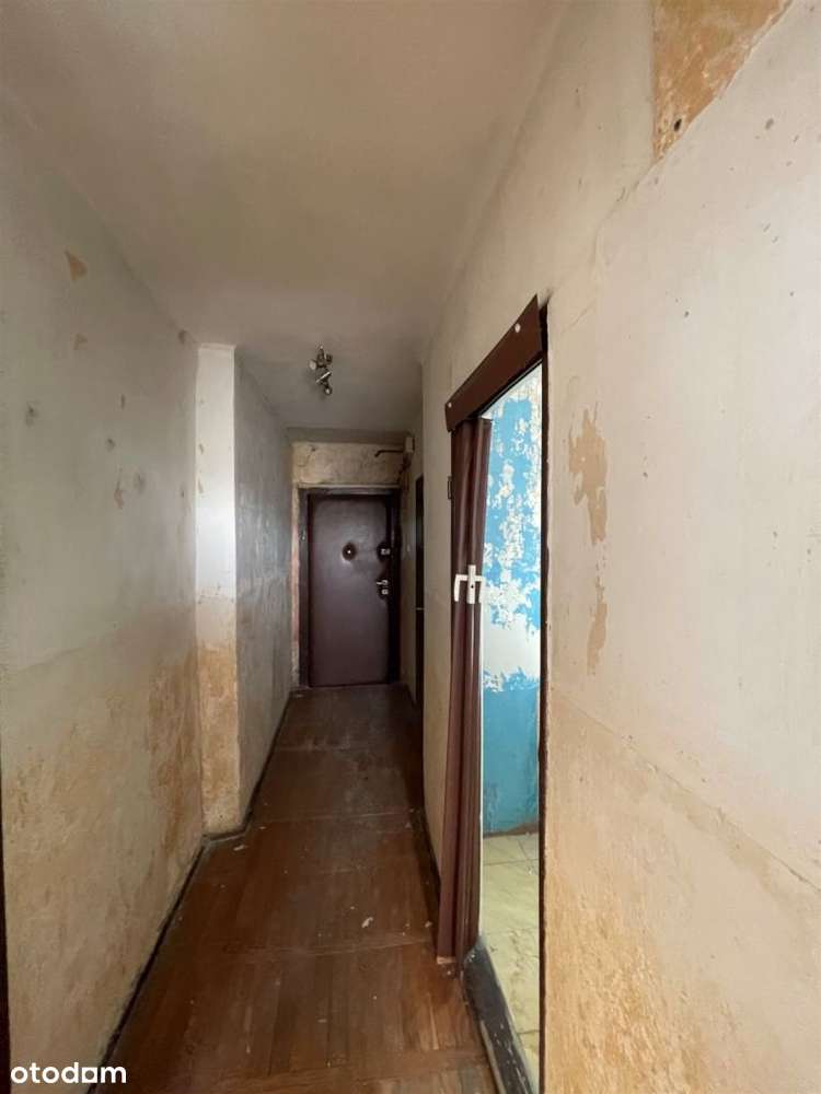 ★Okazja★Niski czynsz samo centrum Rybnika - Pełny obrazek: 3/6