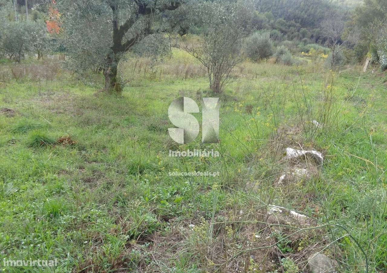 Terreno em Lousã - Grande imagem: 4/11