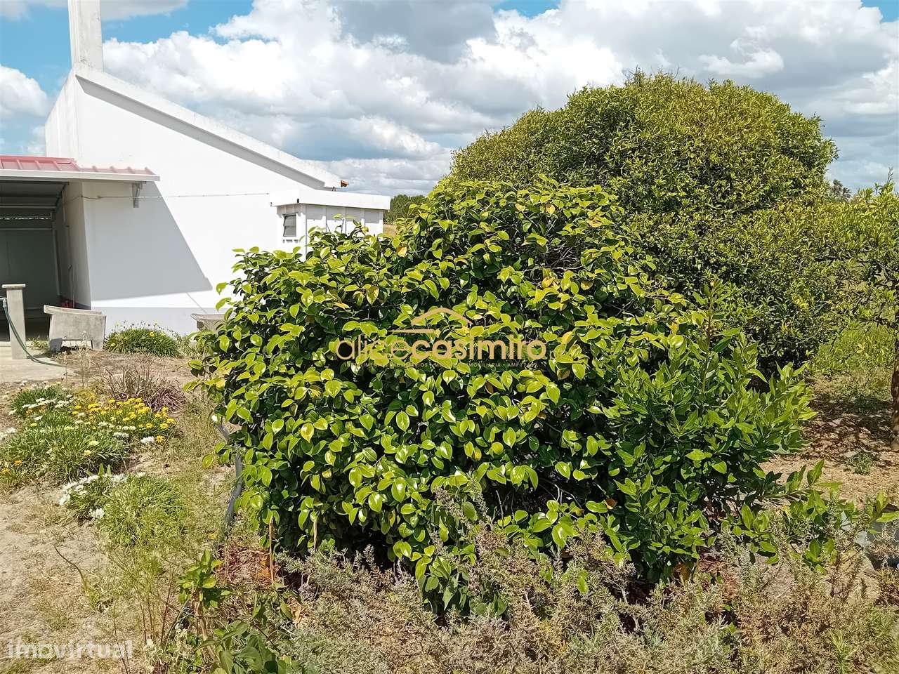 Moradia T3 Venda em Biscainho,Coruche-22